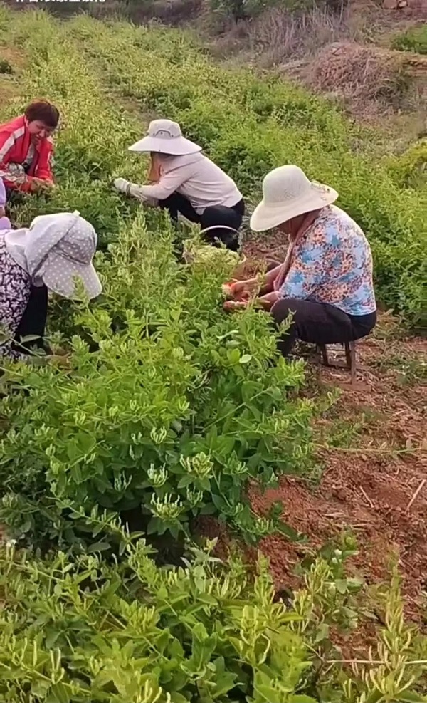 微信图片_20230517143355