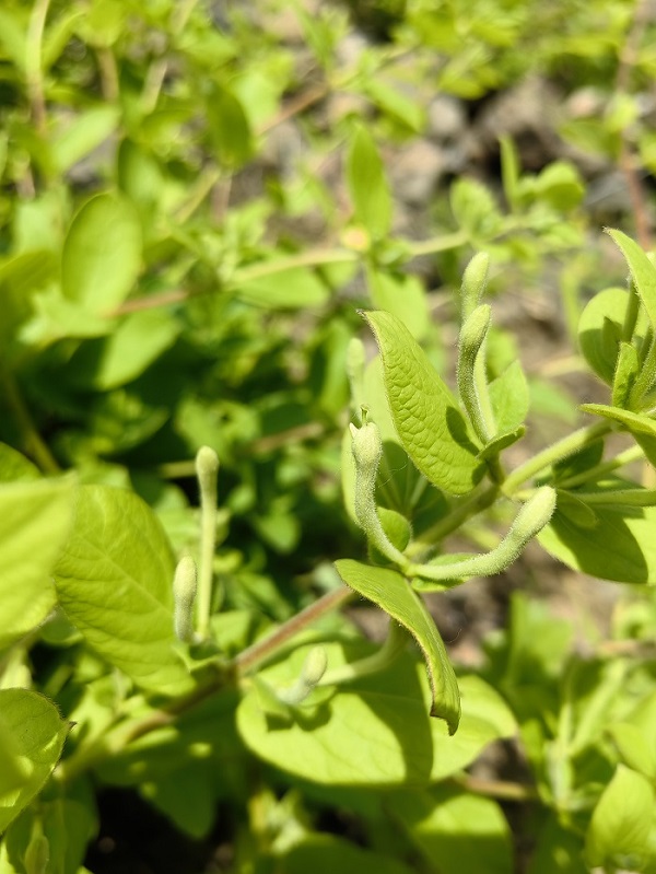 583de055d1cb4d5a955085396a419831