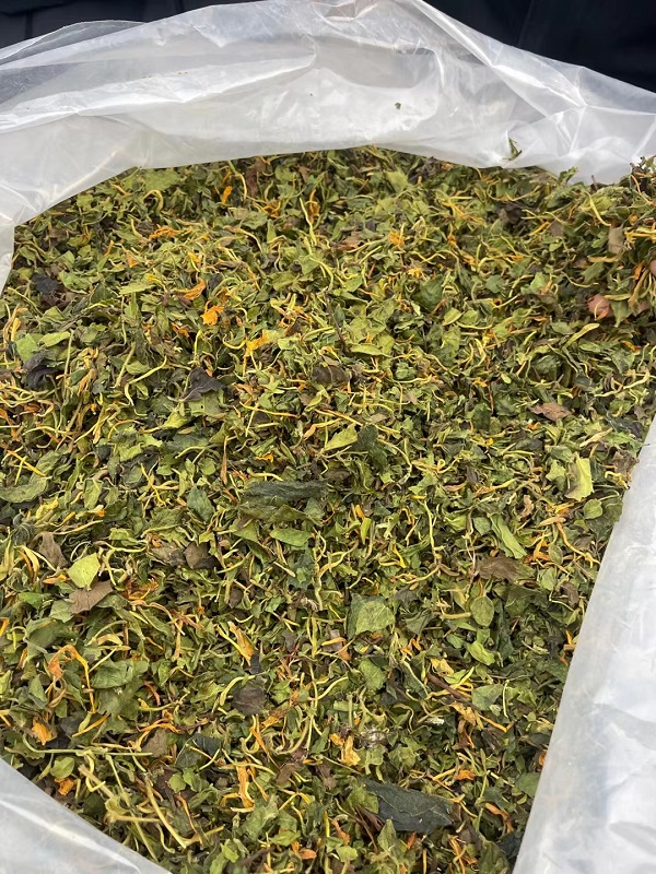 微信图片_20230517141814