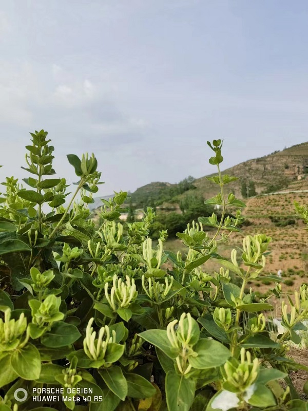 微信图片_20230517141825