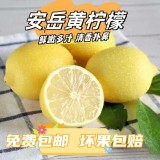 安岳优力克柠檬