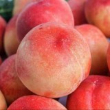 秋彤离合大红桃毛桃